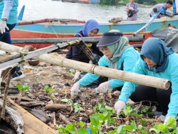 Tanam Mangrove