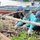 Ikaperta Unila Gelar Aksi Bersih-Bersih Pantai Peringati Dies Natalis ke-51