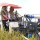 Teknologi Pertanian Masuk Sawah: Demplot Padi oleh Ikaperta dan Mas Tani di Gunung Sugih