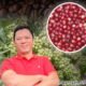 Revolusi Sistem Tanam Kopi untuk Peningkatan Produktivitas